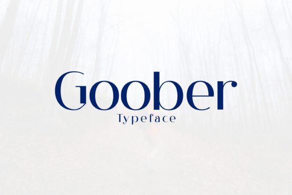 Goober: The Display Font That Elevates Modern Marketing Typography