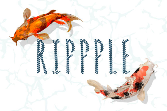 How Rippple Font Made Our Campaign Stand Out with Bold Typography